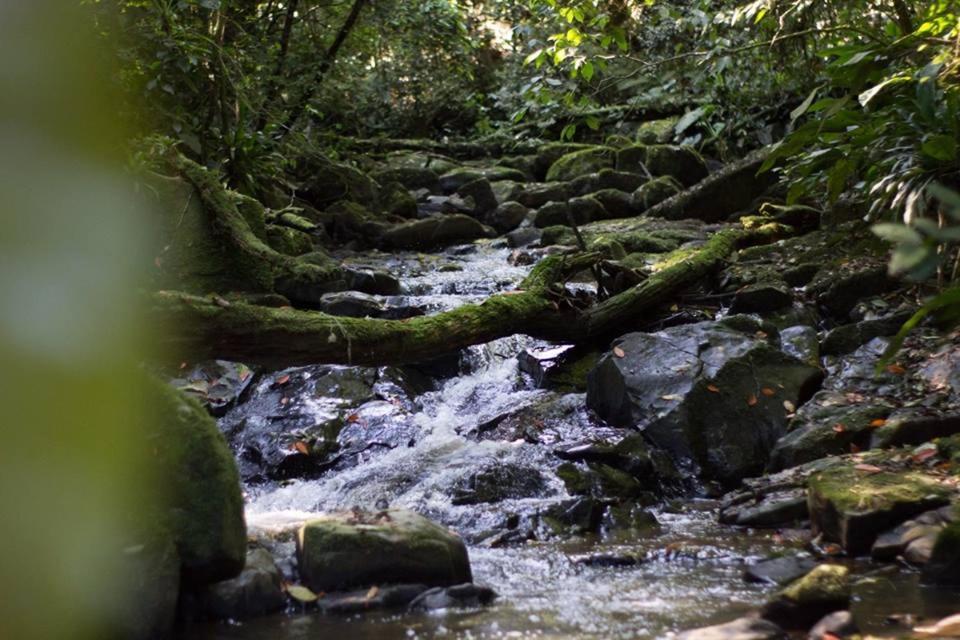 Rio Fortuna Pousada Bergen Huetten מראה חיצוני תמונה